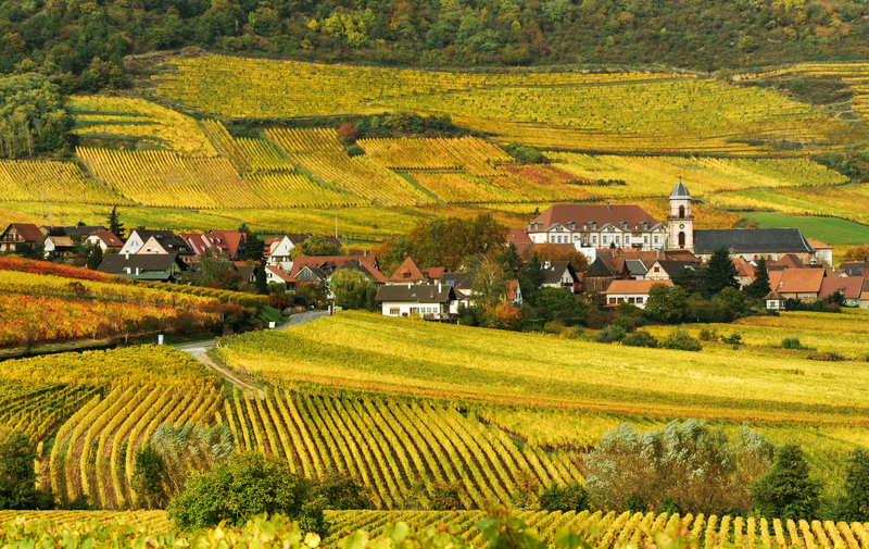 Moving house moving companies